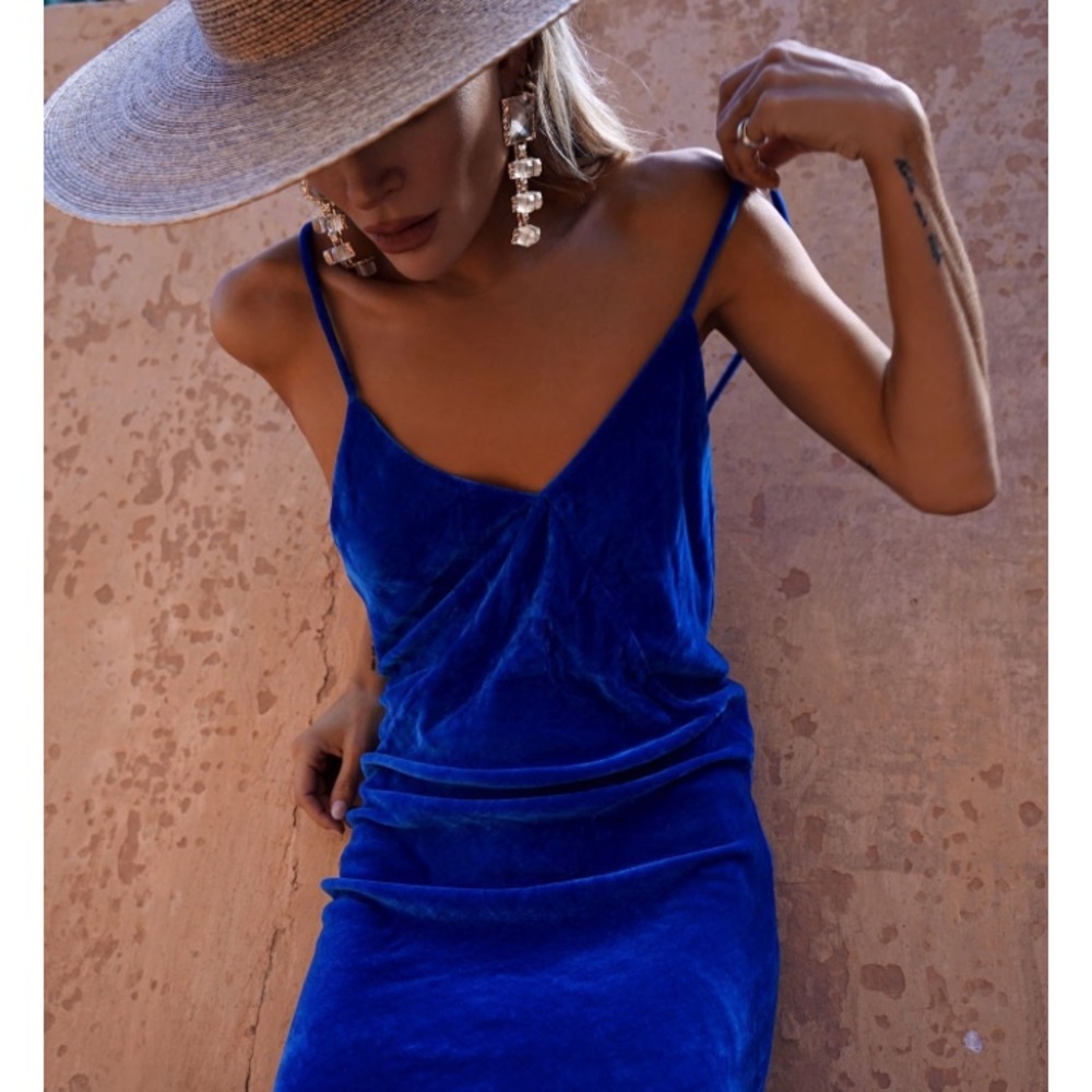 Rat & Boa Sahara velvet dress